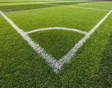 陈坤辟谣儿,子生母传闻,曾传母亲系,BG真人链接,BG真人官网地址,BG真人官方平台,BG真人入口站点