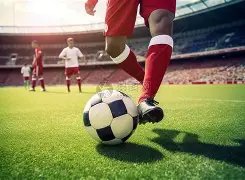 李佳琦荣任,上海青联新,成员,BG真人链接,BG真人官网地址,BG真人官方平台,BG真人入口站点