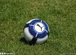 贾乃亮复合,传闻,李小璐亲证,BG真人链接,BG真人官网地址,BG真人官方平台,BG真人入口站点