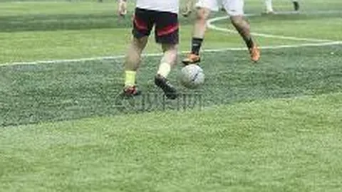 BG真人 产品 044225 r8r