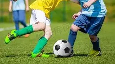 BG真人 产品 044236 ots