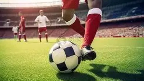 李佳琦荣任上海青联新成员