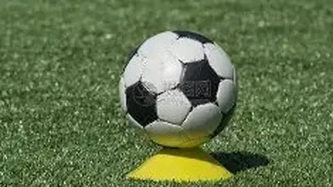 BG真人 产品 114237 wdw