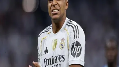 BG真人 产品 095846 c71