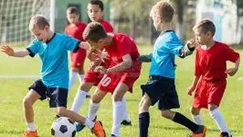 BG真人 产品 100925 tvf