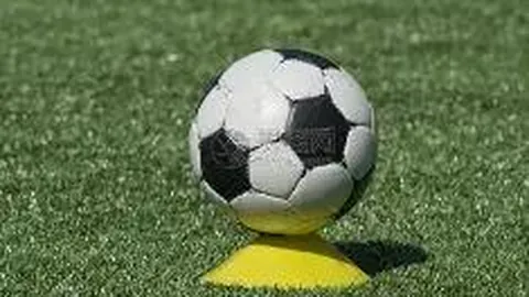 卡馬文加与巴爾韋德续约至2028，共铸皇马新辉煌篇章