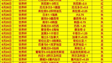 真人 113406 6